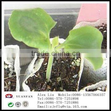 Landscape Gardening pp Nonwoven Fabrics Used To Protect the Plant Roots photo-6