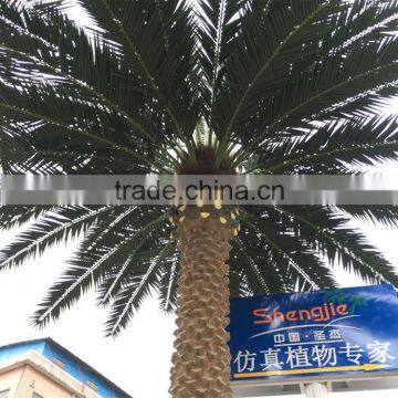 SJ7001027 Preserved outdoor plam tree leaf with UV protection