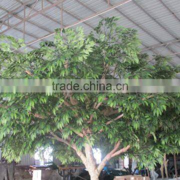 Fake Acacia Rachii Tree for Sale,Fake Green Tree Manufacturer in China photo-3