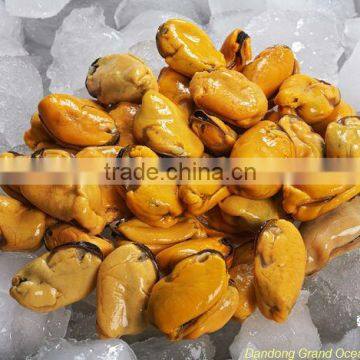 seafood frozen cooked mussel meat