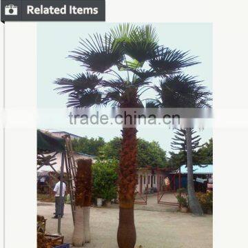 Artificial Big Trees Coconut Tree Artificial Coconut Palm Tree photo-4