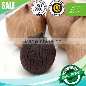 Healthy Natural Food Herb Solo Black Garlic 1 Bulb/bag photo-2