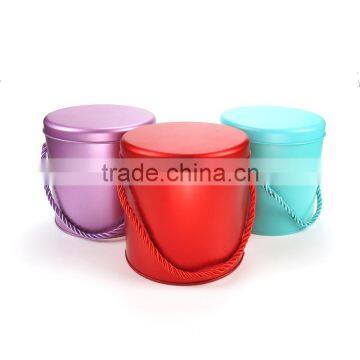 Tinplate Cans Packaging Tin Box Monochromatic Diy and Joyful Carrying Iron Boxes Receive a Tin Gift Packaging photo-6