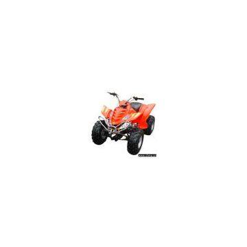 CDI Ignition ATV