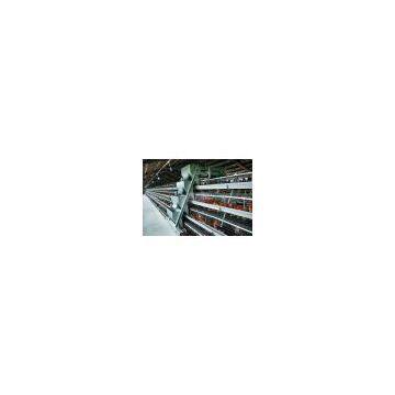Hot sale ladder chicken cages for layers