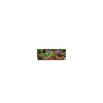 Planter Box, Garden Planter, Wooden Boxes