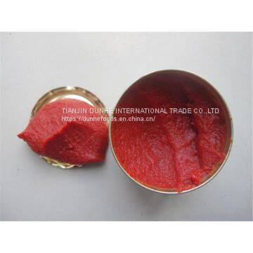 Canned Tomato Paste photo-3