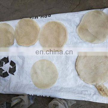 Spring Roll Making Machine Automatic Spring Roll Making Machine photo-5