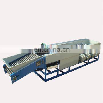 China High Quality Orange Classify Machine Apple Sorter Machine Fruit Grading Machine in Fruit Processing Production Line photo-4