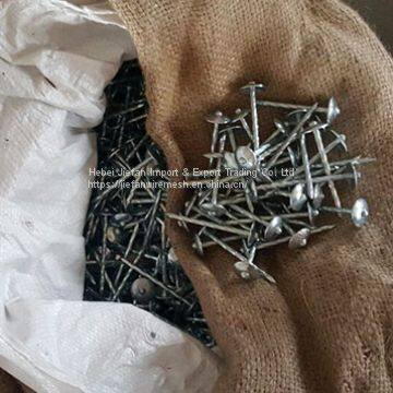 ​Umbrella Roofing Nails Stainless Steel Roofing Nails Concrete Nail Distributor Wholesale Common Nails photo-3