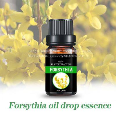 Forsythia Oil Aromatherapy Essential Oil Pure Natural Fragrance Oil