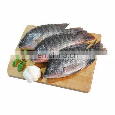 IQF Frozen Black Tilapia Fish