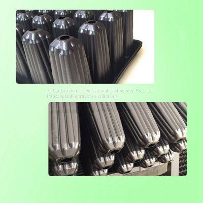 28 Cells Seed Sprouting Trays      seed starting supplies    reusable seed starting trays     custom Planting Trays