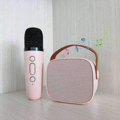 Professional sound speakers with two microphone Holiday beach party entertainment Musical chorus box speaker