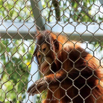 Hochfester Edelstahlgeflecht für Vogeltriebe und Zoos