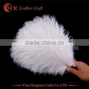 wholesale 8-10inch DIY ostrich plumes for pary