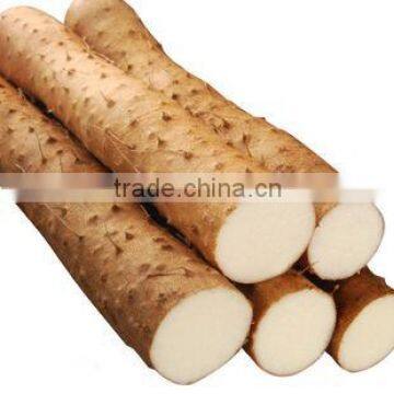 Naturally-grown Wild Yam Iron polyphenol content 20%