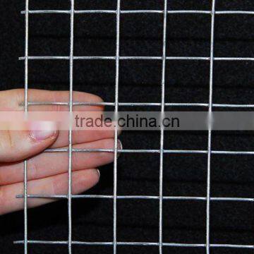 1 inch galvanized welded wire mesh