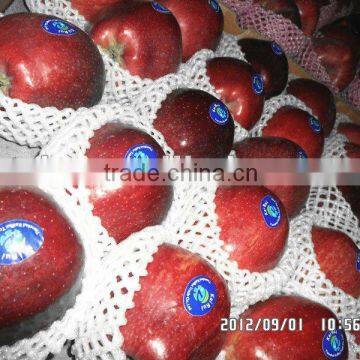 wholesale prices apple fruit