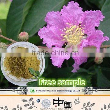 Hot new products for 2015 pure natural organic Banaba Extract Powder