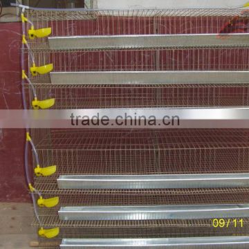 high quality layer quail cage for sale /quail cages and equipment