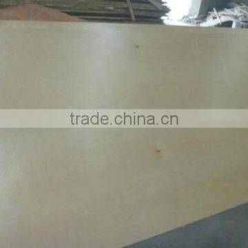 haisen 15mm furniture grade ukraine birch plywood                        
                                                Quality Choice