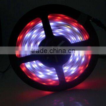smd rolling curtain screen flexible led strip rgb