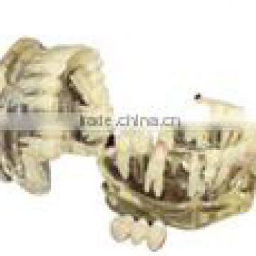 Dental restoration/ prothesis study model Hot Sale Human Dental Teaching Models AC-P34