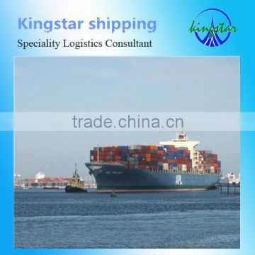 Newest Sea Shipping Logistics Company China to USA