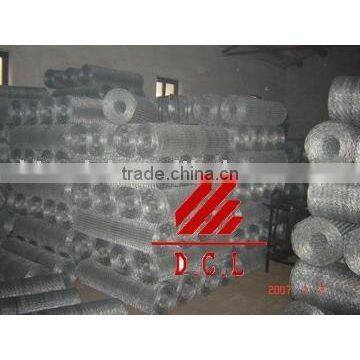 hexaganal wire netting