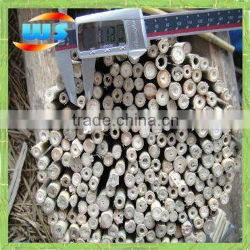 Home decoration support flowers of little bamboo cane 3.5' x 10/12mm