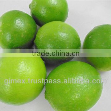 Vietnam seeless Lime ; +84984418844 whatsapp