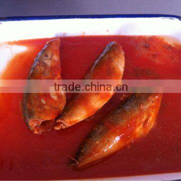 canned mackerel