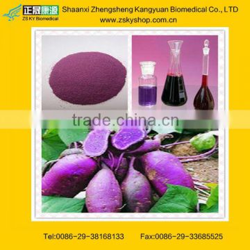 Purple Sweet Potato Extract: Anthocyandin 5%-80% from GMP manufacturer