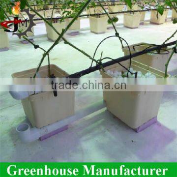 High quality indoor plant growing dutch bucket greenhouse