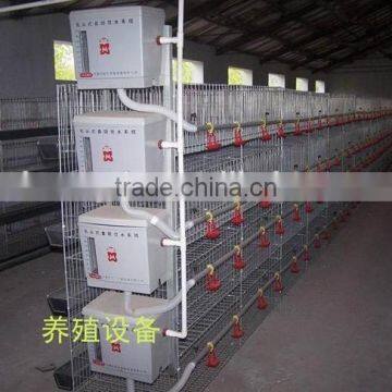 automatic poultry farm cage