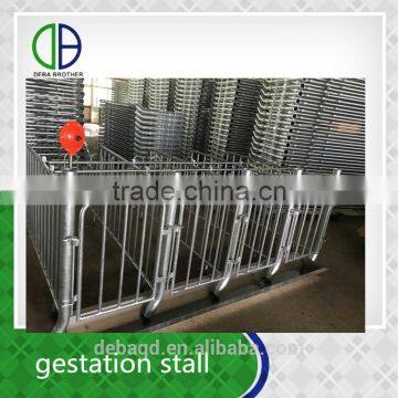 Pig Farm use custom design equipment sow pens Galvanized Pig Gestation Stall for sows