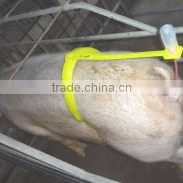 Veterinary Artificial Insemination Frame for Pig/sow/swine/sheep/goat/cattle/horse photo-6