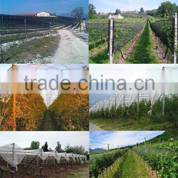 Virgin HDPE anti hail net in orchard/vineyard 3x7mm