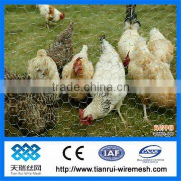 galvanized hexagonal wire mesh chicken wire