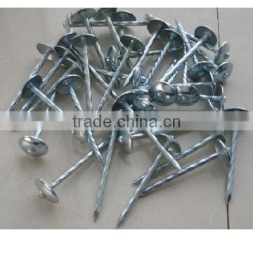 square head roofing nail