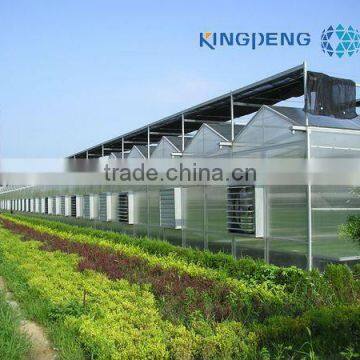 Venlo Roof Agricultural Polycarbonate Sheet Greenhouse