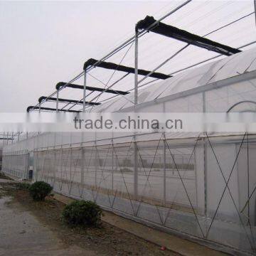 Muiti Tunnel Agriculture Greenhouse for Sale photo-2