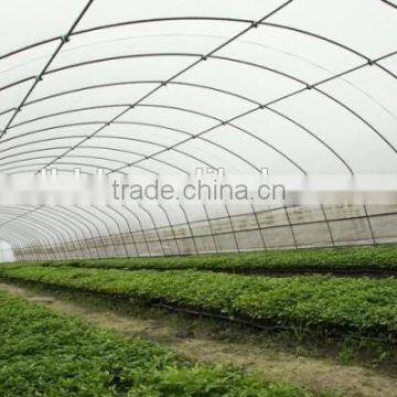 Baolida Single Span Green House photo-2