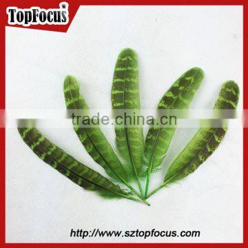 Natural Ringneck Rounds Cheap Dyed Pheasant Feathers Sale photo-6