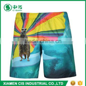 2017 High Quality Plus Size Mens Print Beach Shorts on Sale photo-2