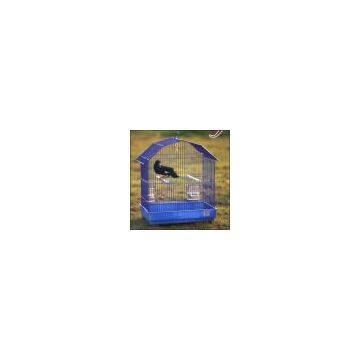Parrot Cage