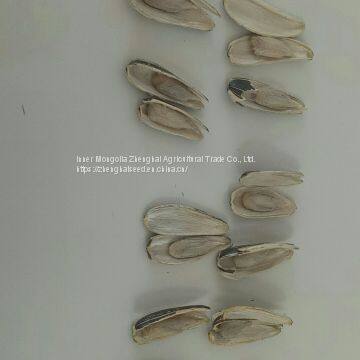 New Crop Sunflower Seed of Type 601 photo-4
