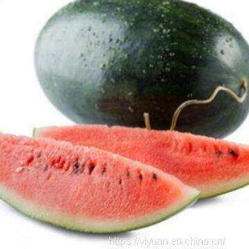 Watermelon F1 Hybrid Sweet Melon Seeds Fruit Seeds No.89 photo-3