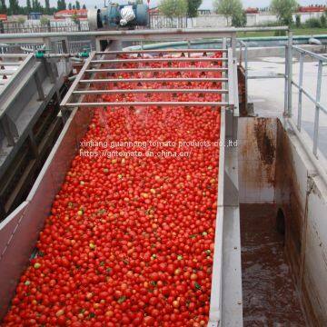 2020 Crop Concentrated Tomato Paste photo-4